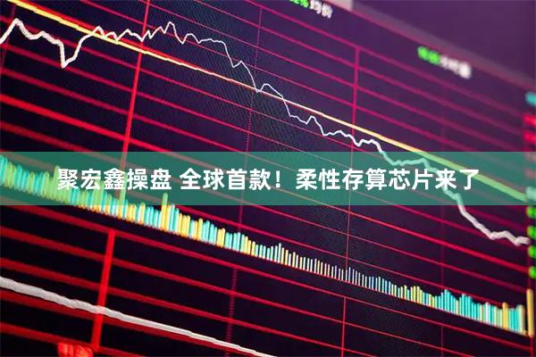 聚宏鑫操盘 全球首款!柔性存算芯片来了
