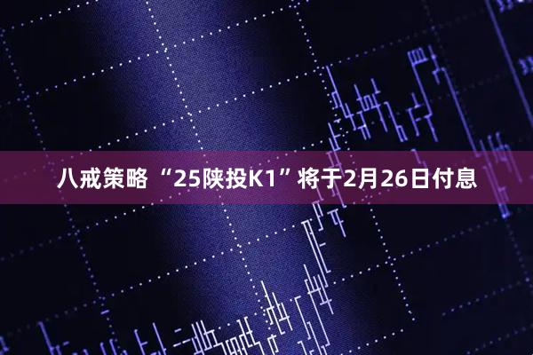 八戒策略 “25陕投K1”将于2月26日付息