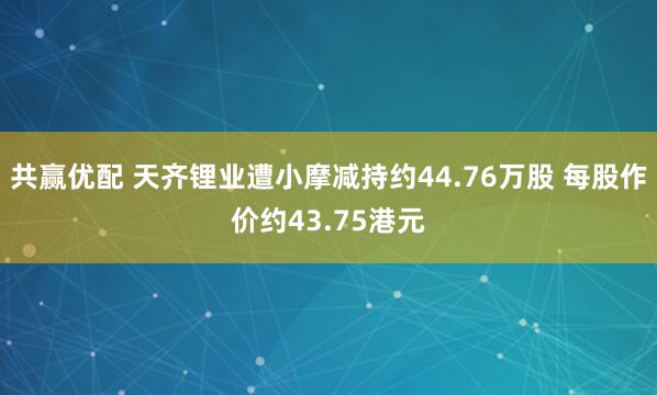 共赢优配 天齐锂业遭小摩减持约44.76万股 每股作价约43.75港元
