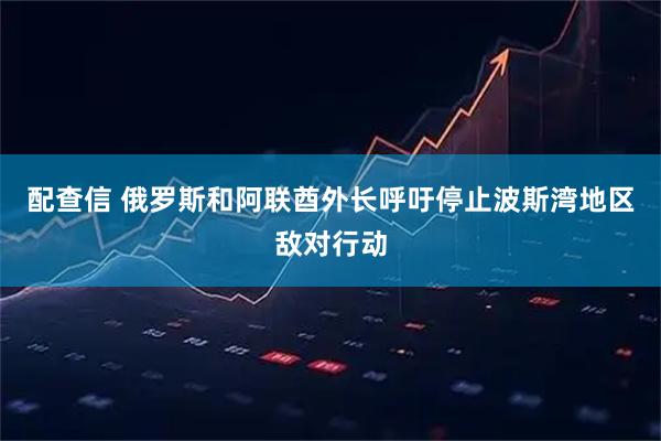 配查信 俄罗斯和阿联酋外长呼吁停止波斯湾地区敌对行动