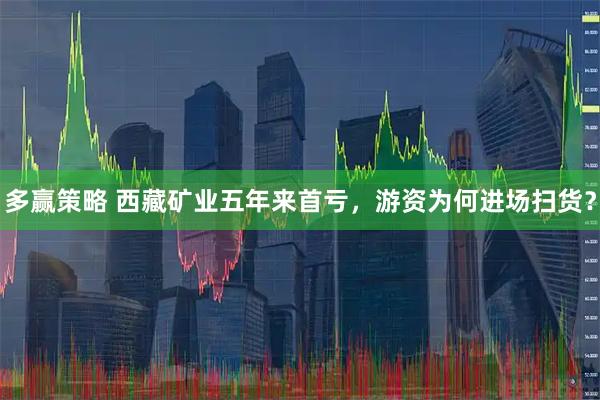 多赢策略 西藏矿业五年来首亏，游资为何进场扫货？