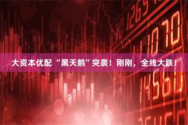 大资本优配 “黑天鹅”突袭！刚刚，全线大跌！