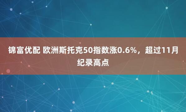 锦富优配 欧洲斯托克50指数涨0.6%，超过11月纪录高点