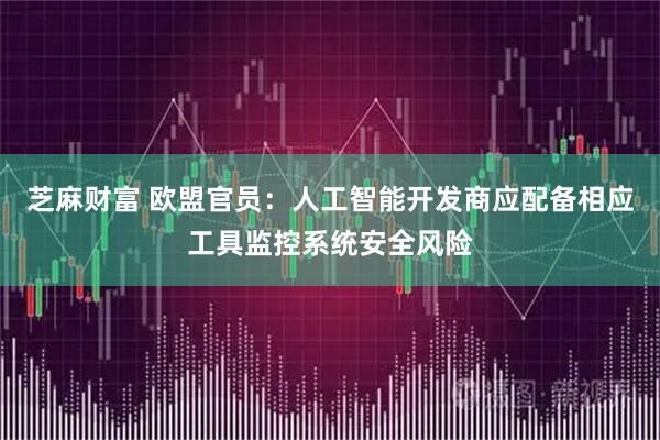 芝麻财富 欧盟官员：人工智能开发商应配备相应工具监控系统安全风险