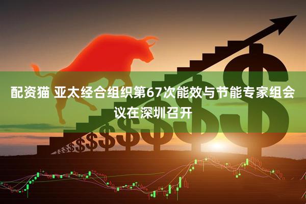 配资猫 亚太经合组织第67次能效与节能专家组会议在深圳召开