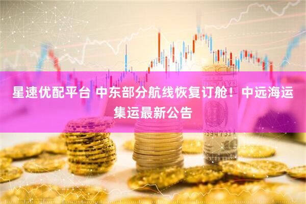 星速优配平台 中东部分航线恢复订舱！中远海运集运最新公告
