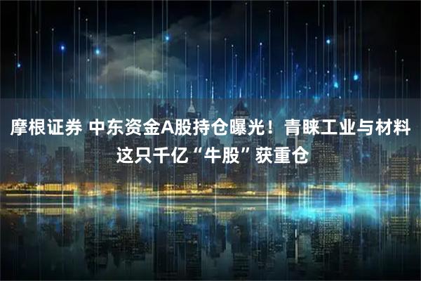摩根证券 中东资金A股持仓曝光！青睐工业与材料 这只千亿“牛股”获重仓