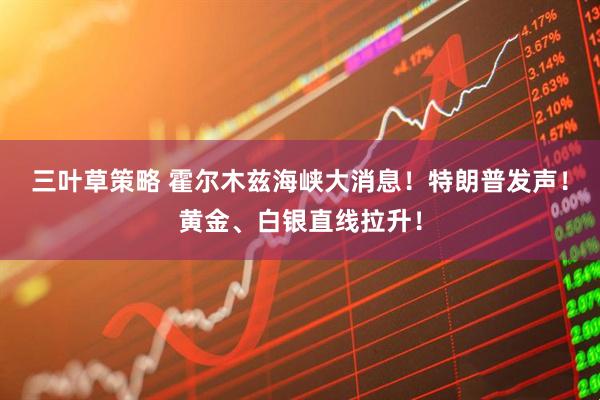 三叶草策略 霍尔木兹海峡大消息!特朗普发声!黄金、白银直线拉升!
