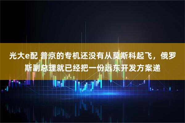 光大e配 普京的专机还没有从莫斯科起飞，俄罗斯副总理就已经把一份远东开发方案递