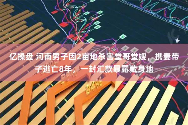 亿操盘 河南男子因2亩地杀害堂哥堂嫂，携妻带子逃亡8年，一封汇款暴露藏身地