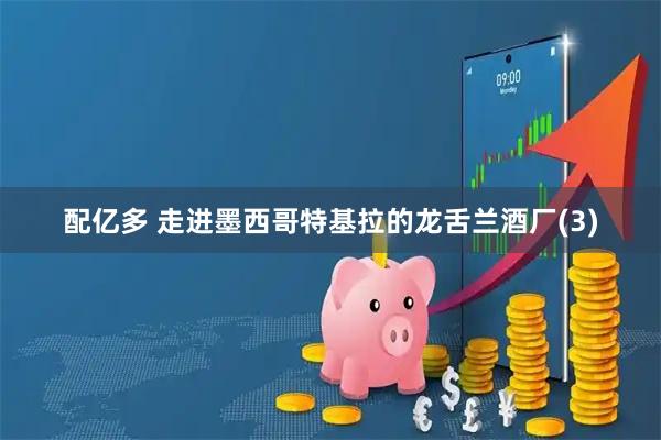 配亿多 走进墨西哥特基拉的龙舌兰酒厂(3)