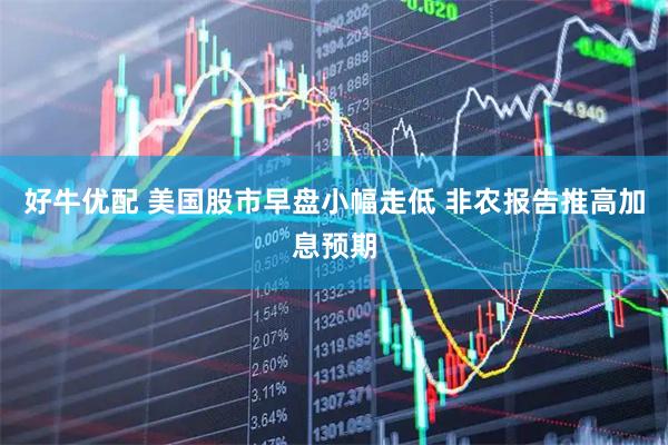 好牛优配 美国股市早盘小幅走低 非农报告推高加息预期